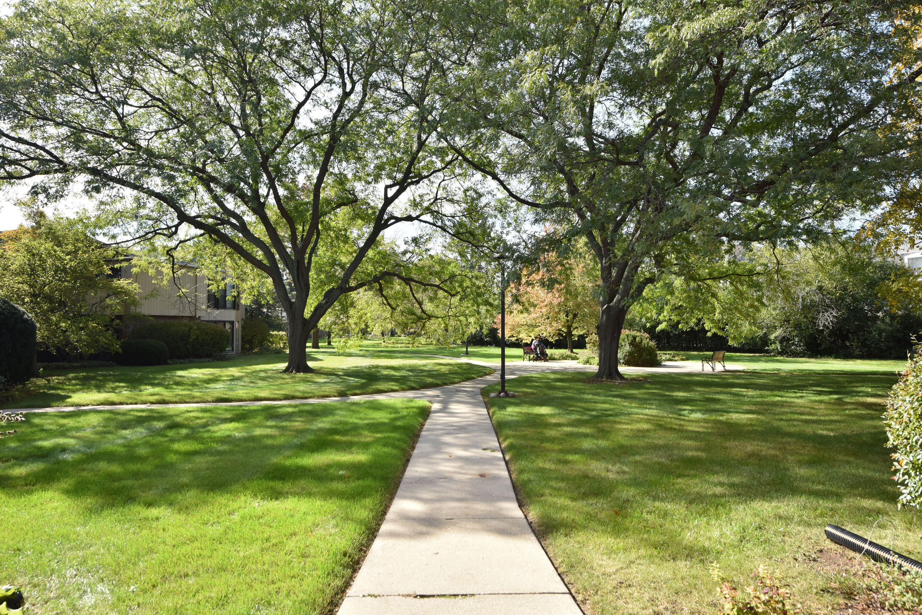 425 W Willow Ct Unit: 146