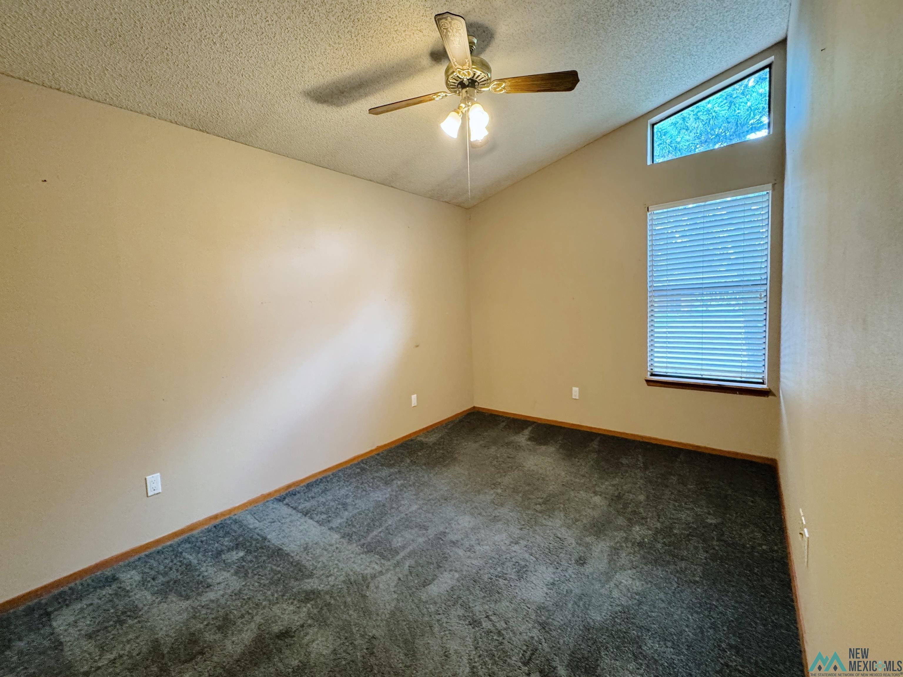 3809 Don January
