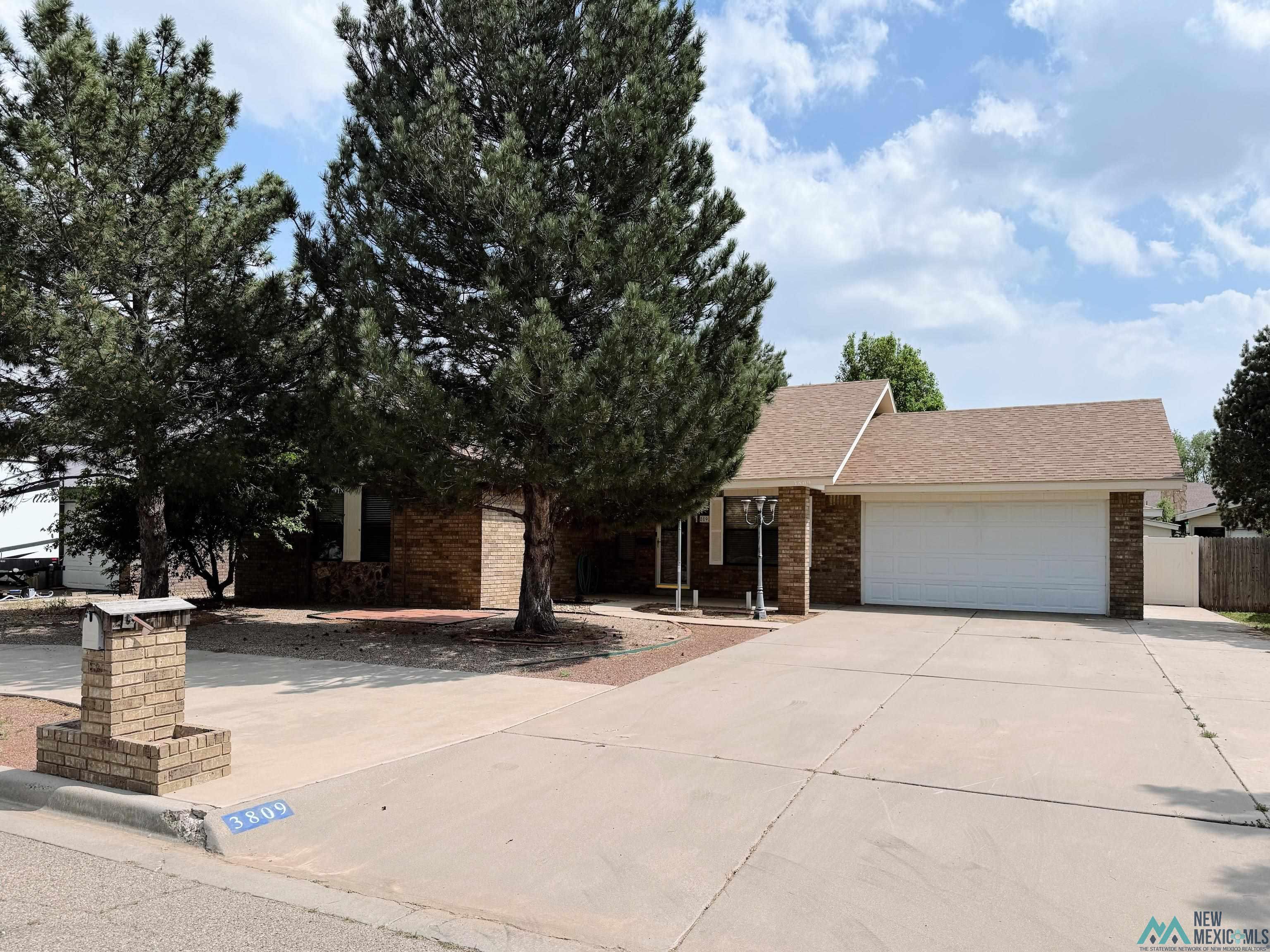 3809 Don January