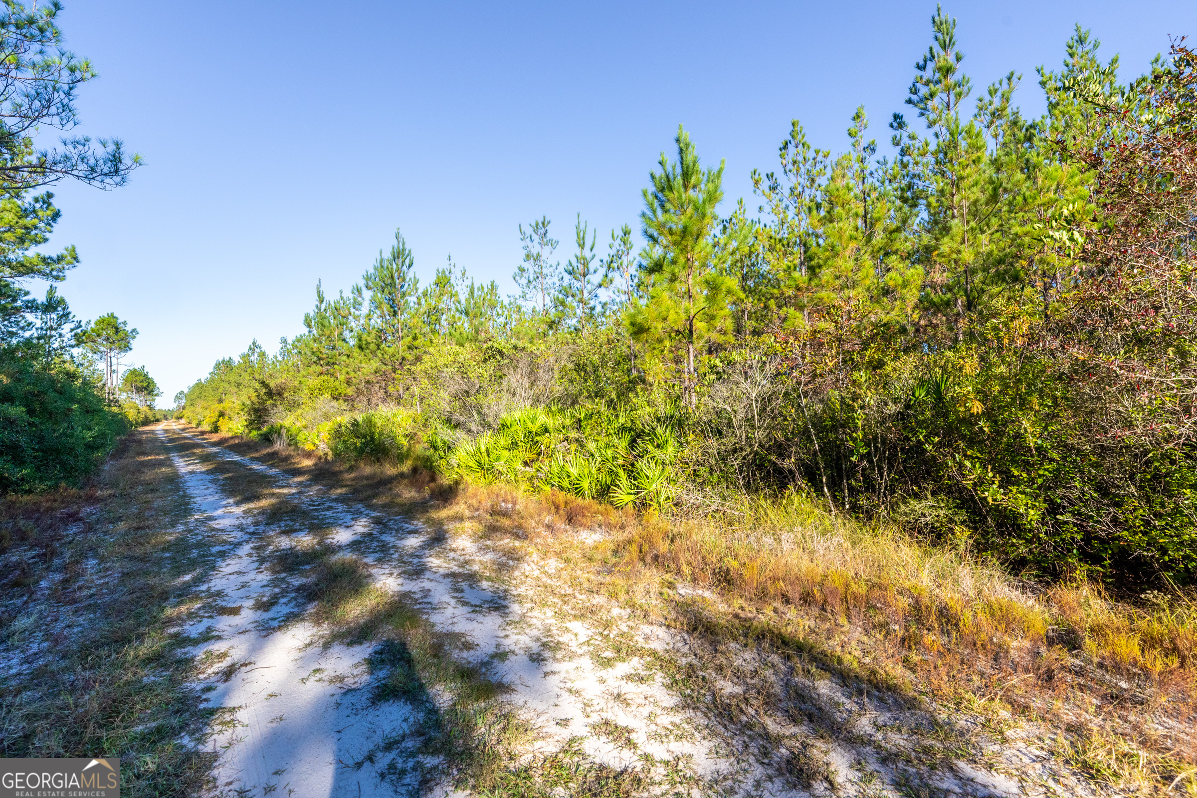 0 Odum Road, Millwood