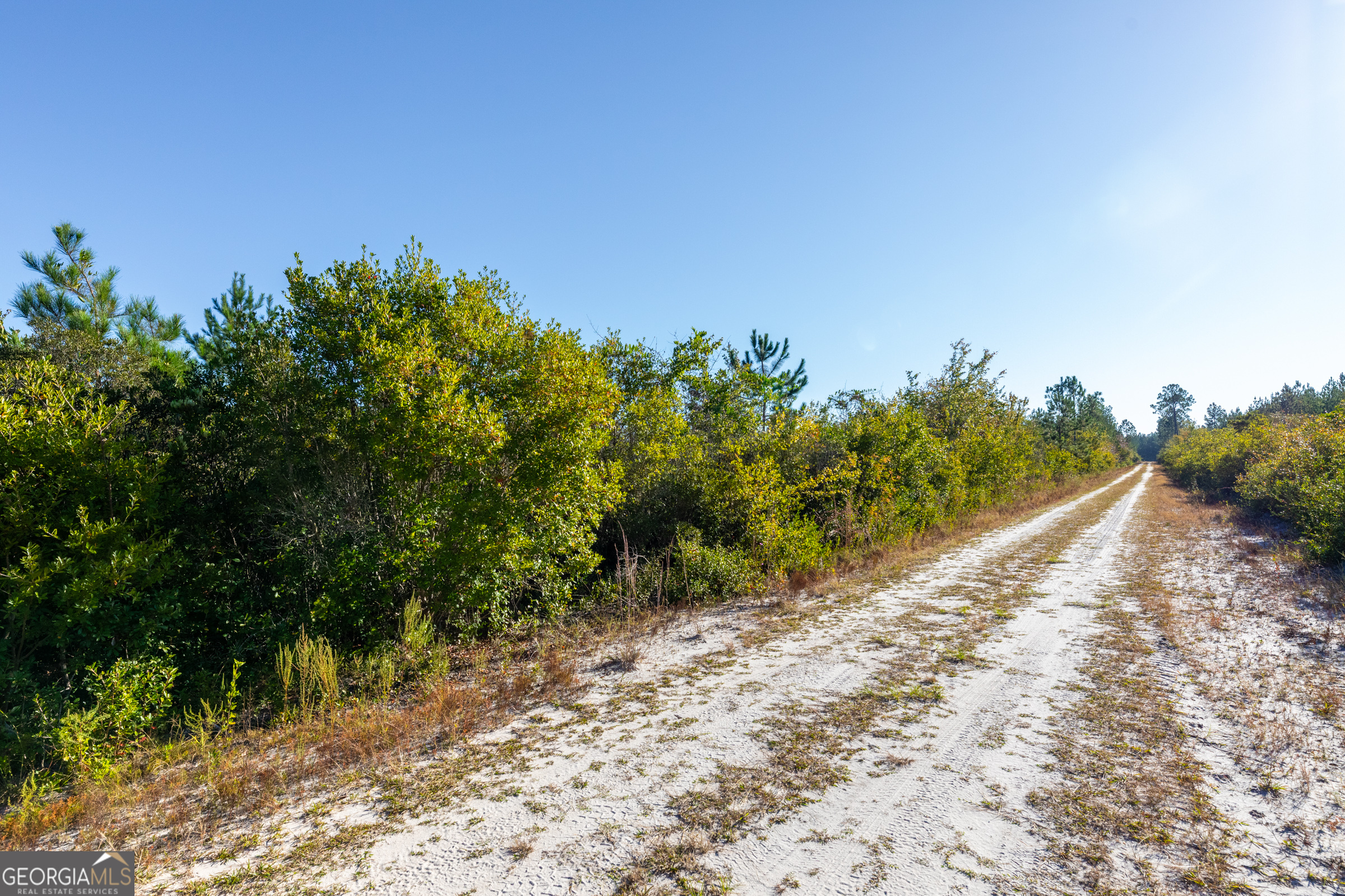 0 Odum Road, Millwood