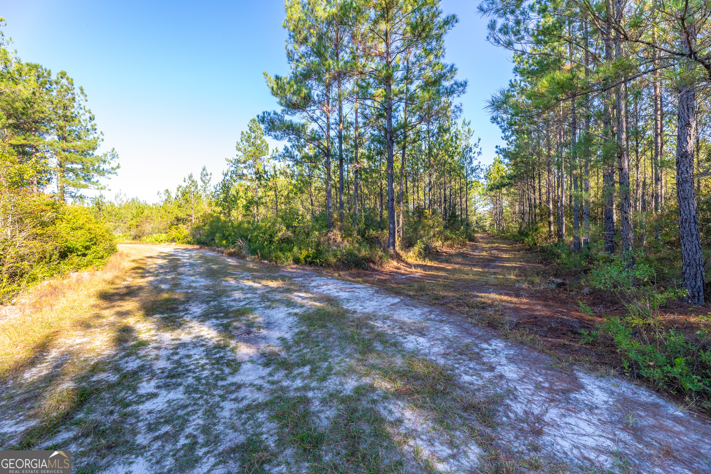 0 Odum Road, Millwood
