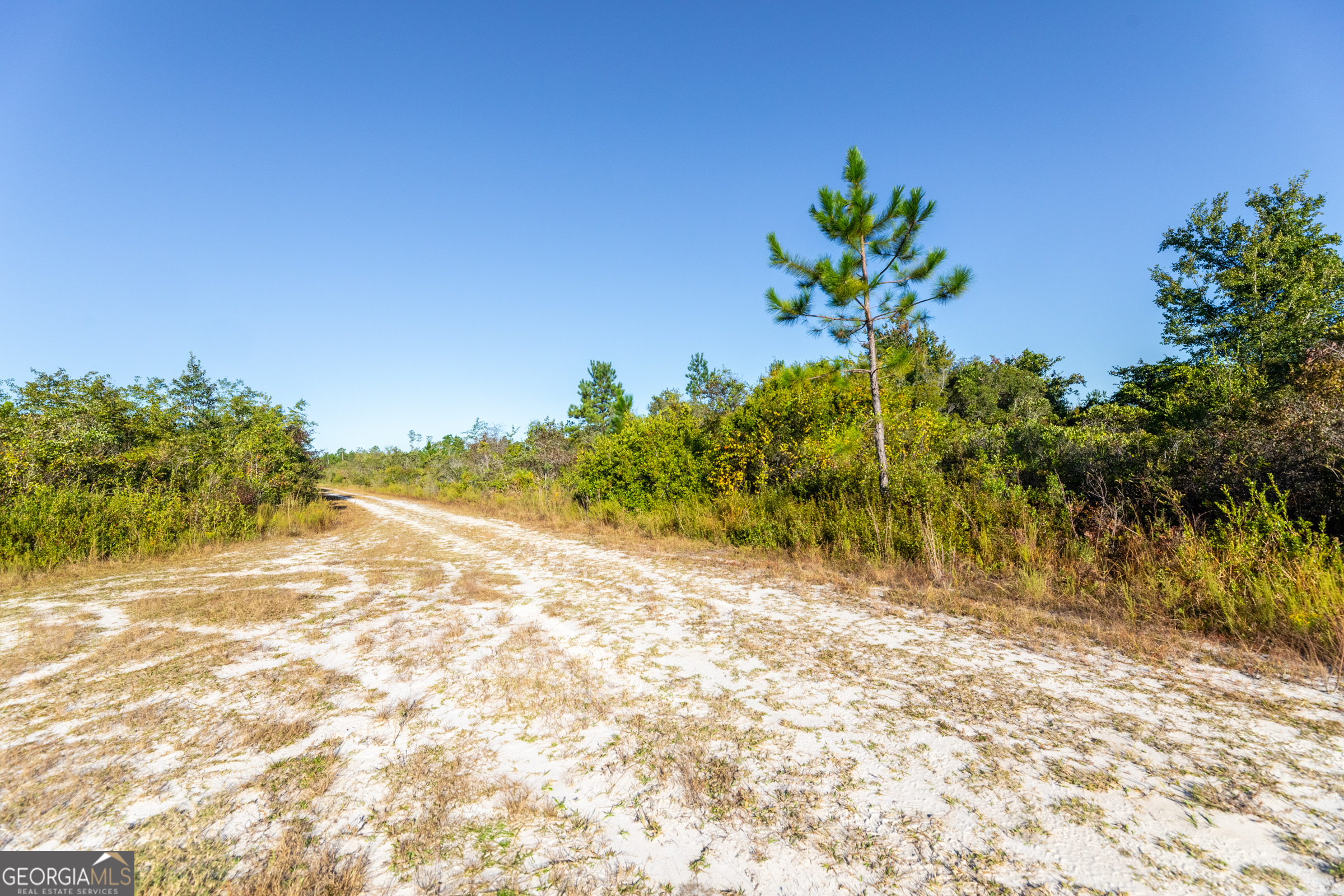 0 Odum Road, Millwood