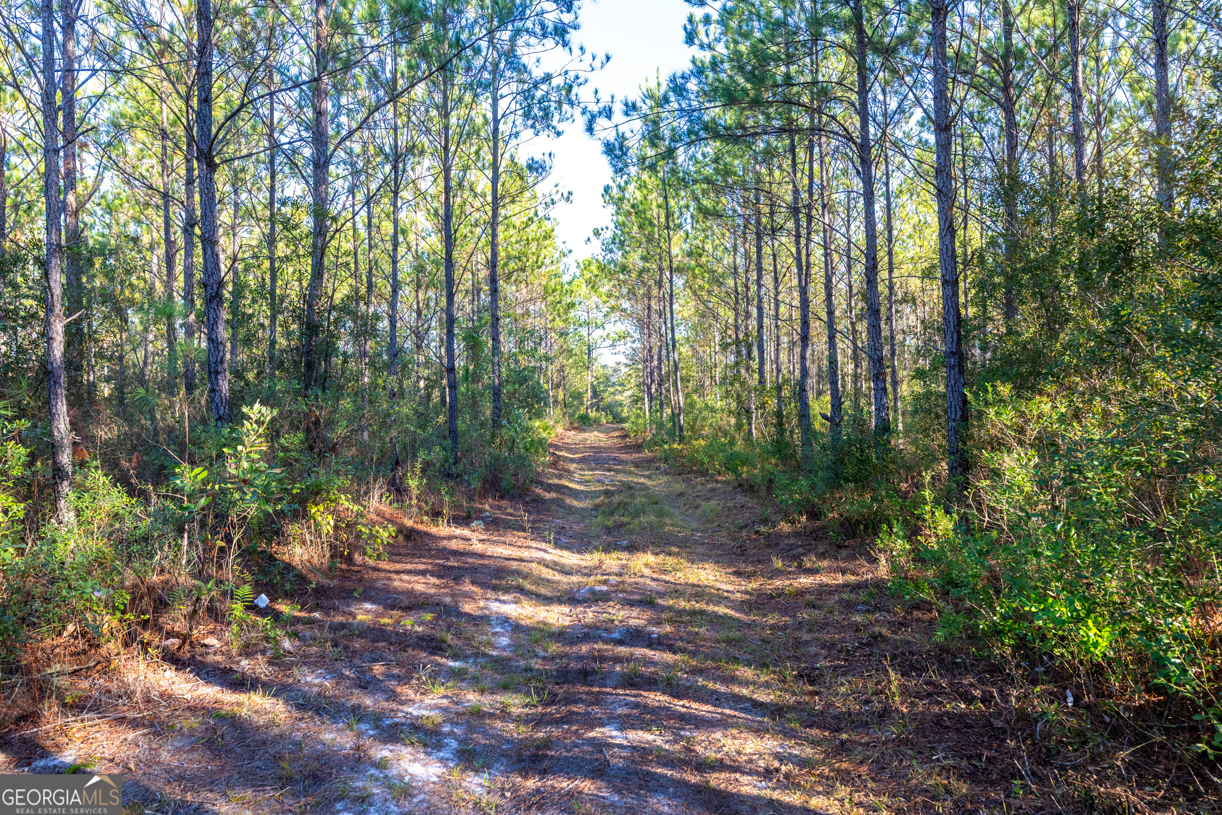 0 Odum Road, Millwood