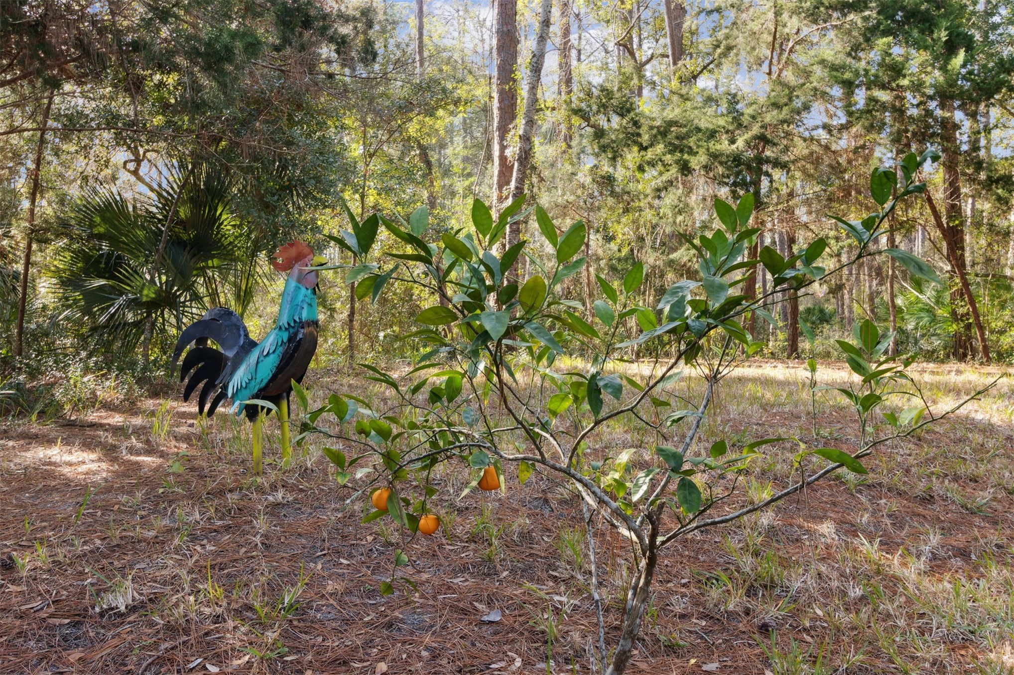 96114 PINEY ISLAND DRIVE