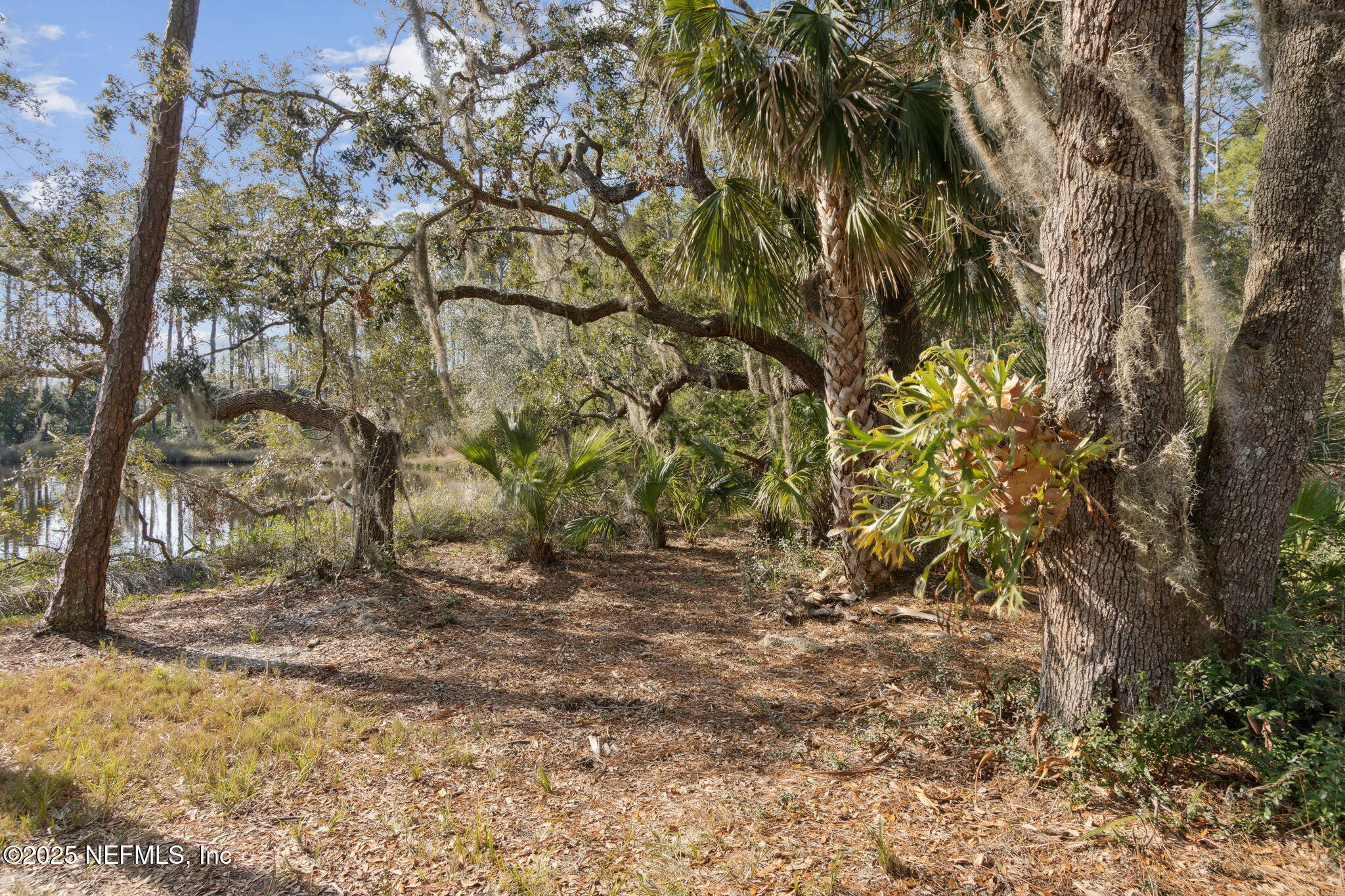 96114 PINEY ISLAND Drive