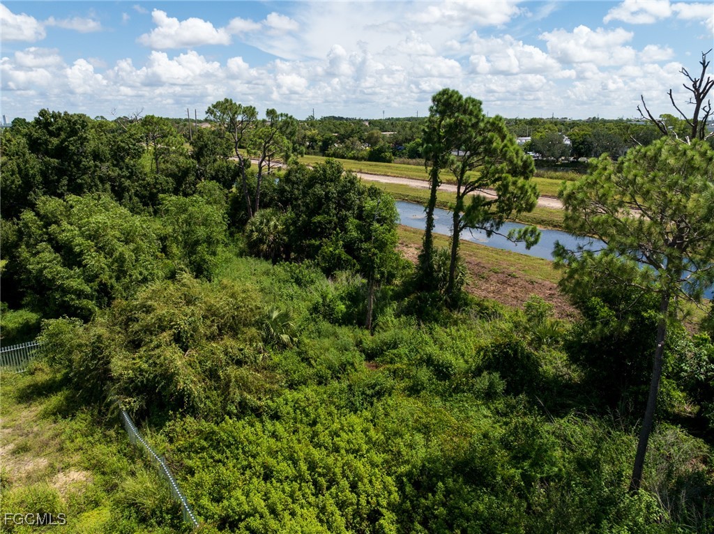 2745 Swamp Cabbage CT