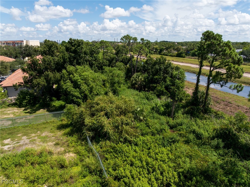 2745 Swamp Cabbage CT