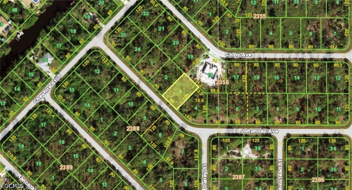 Wooded vacant lot highlighted in yellow beside Johannes Ave, among numbered parcels and intersecting streets.
