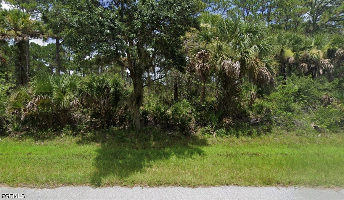 Wooded vacant lot with palms and grassy roadside frontage.