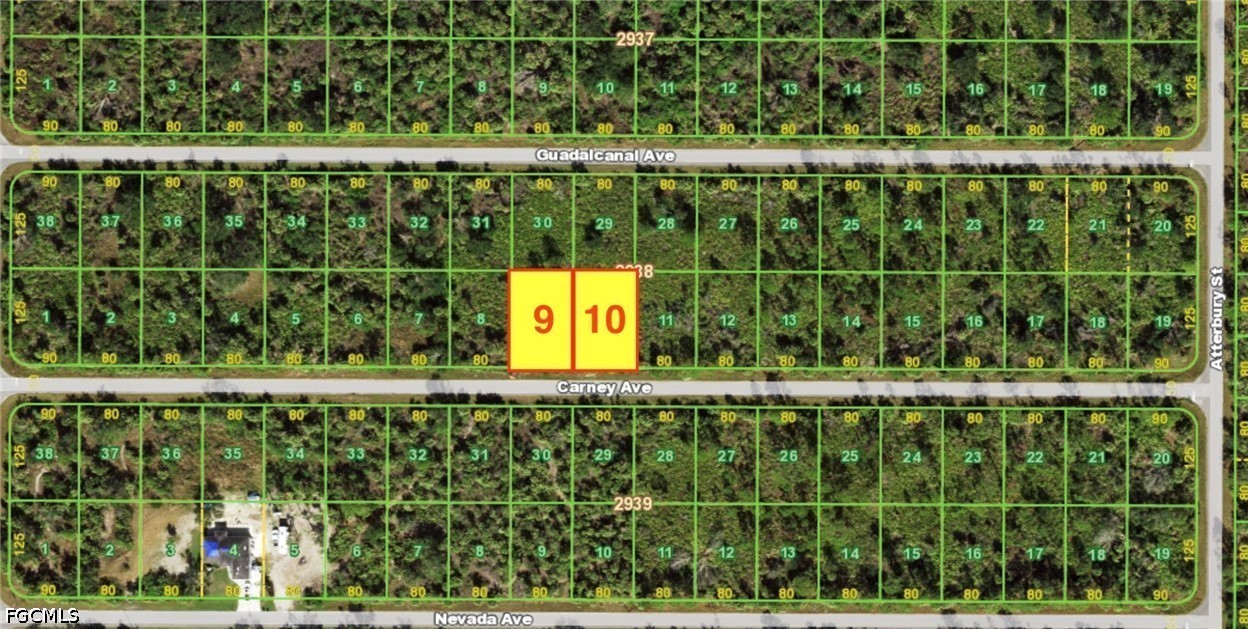 Aerial parcel map highlighting lots 9 and 10 on Carney Avenue.