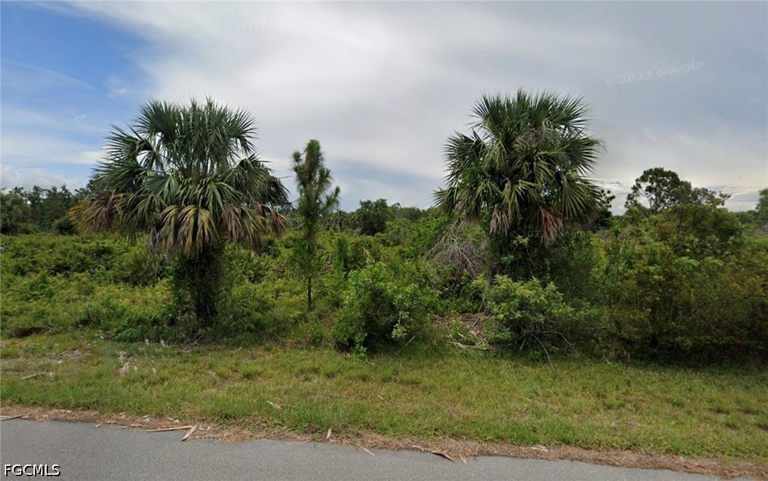 Vacant roadside lot covered in scrub and palms, viewed from the paved road.