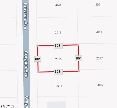 Parcel 2016 on Grayson Ave outlined in red, measuring 125 by 80 feet.