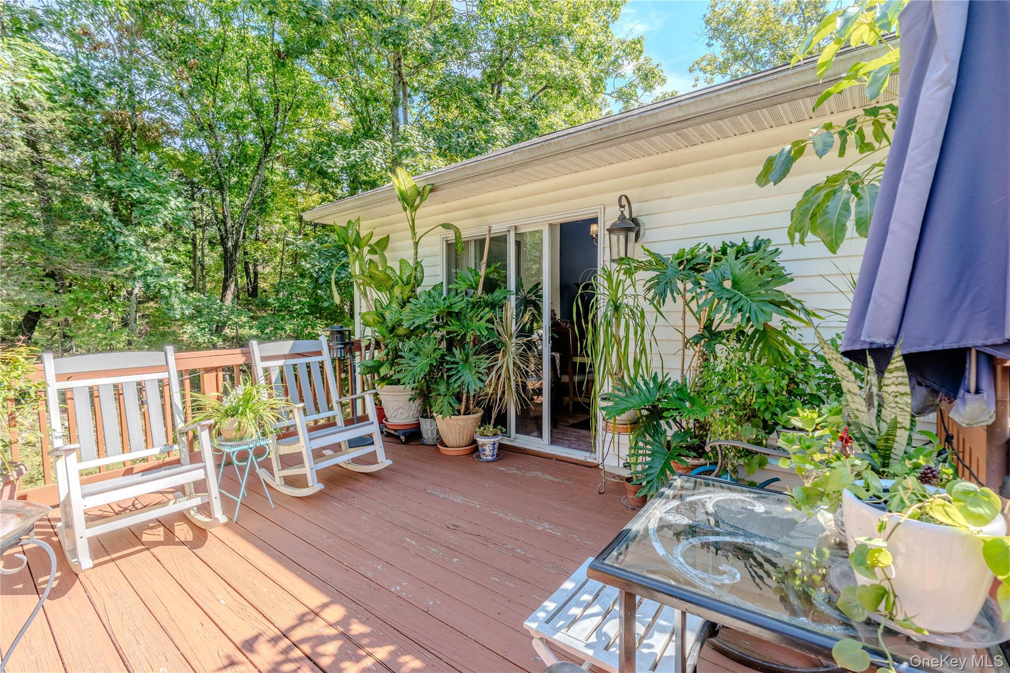 167 Pine Hill Road