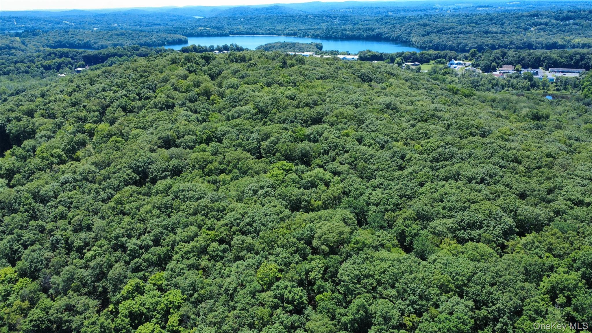 118 Scenic Ridge Drive