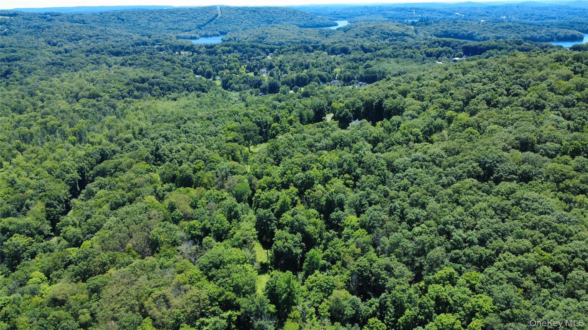 118 Scenic Ridge Drive