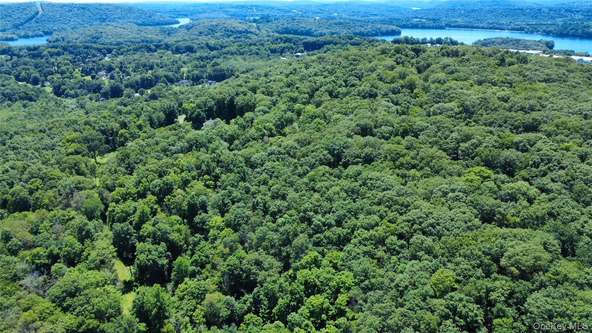 118 Scenic Ridge Drive