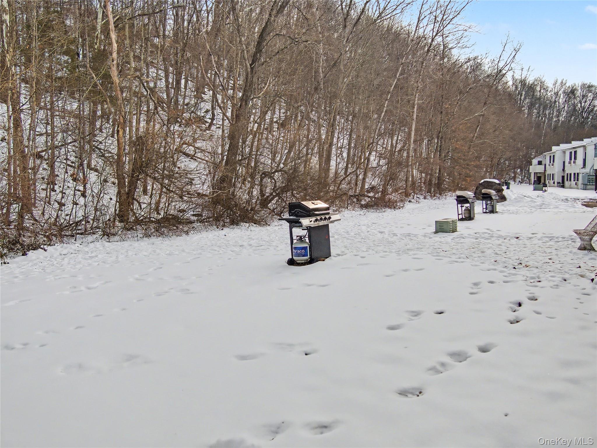 29 Scarborough Lane Unit: A