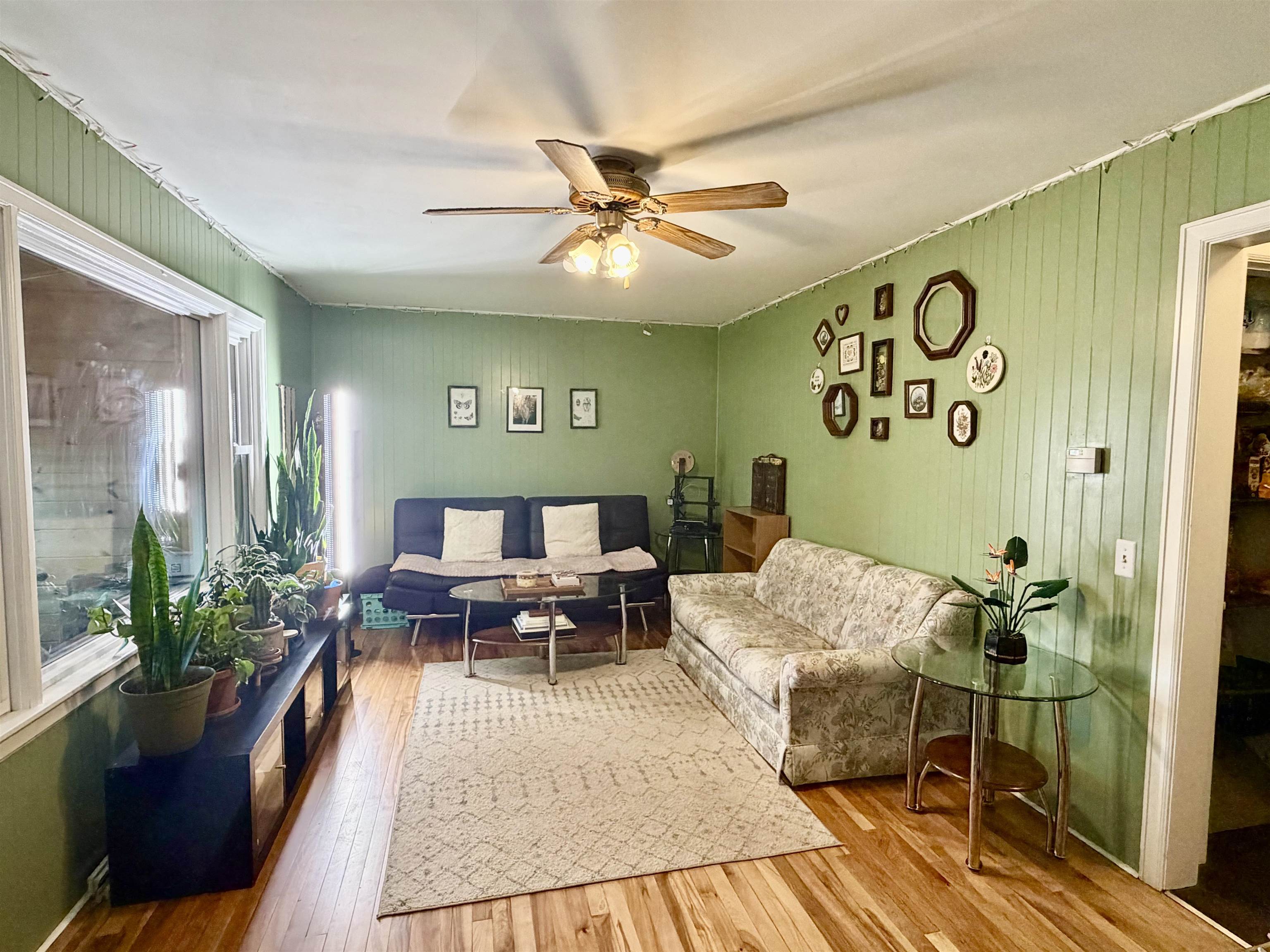 Living room with sage-green paneled walls, hardwood floors, and plants beside large windows.