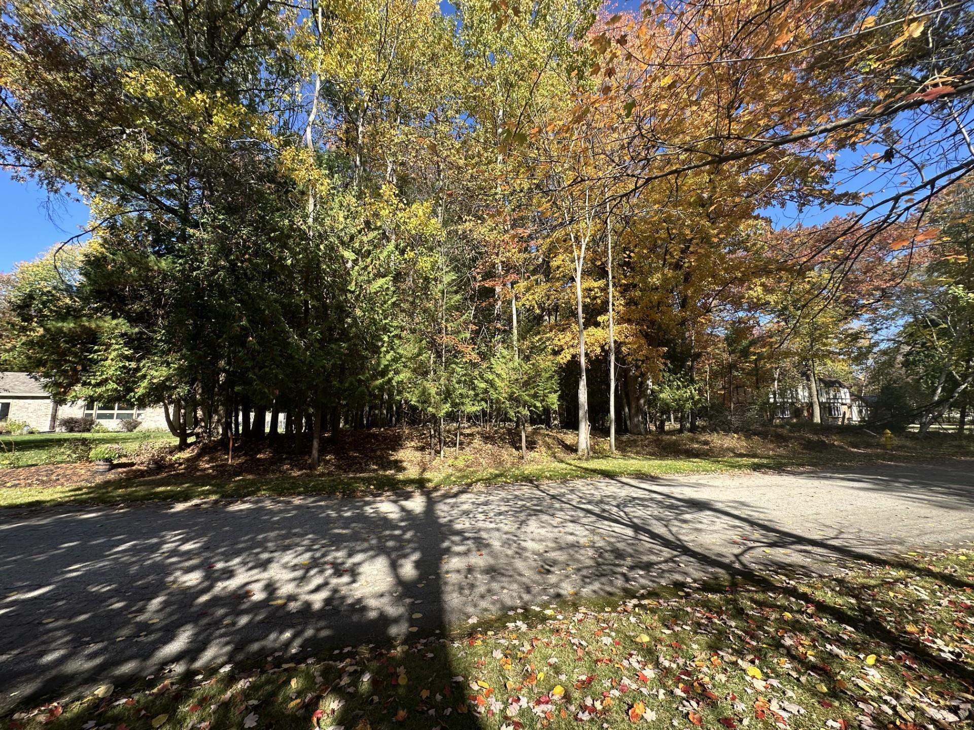 450 Marnie 1.07 acres Lane