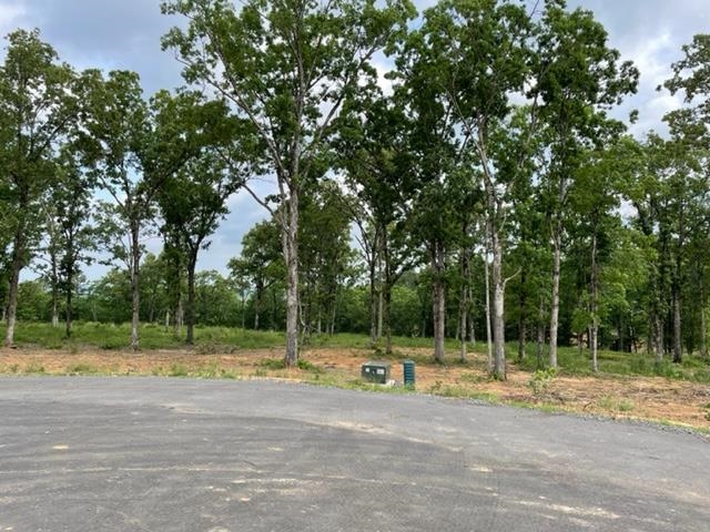 Orchard Hill Lot 3 Ph 2