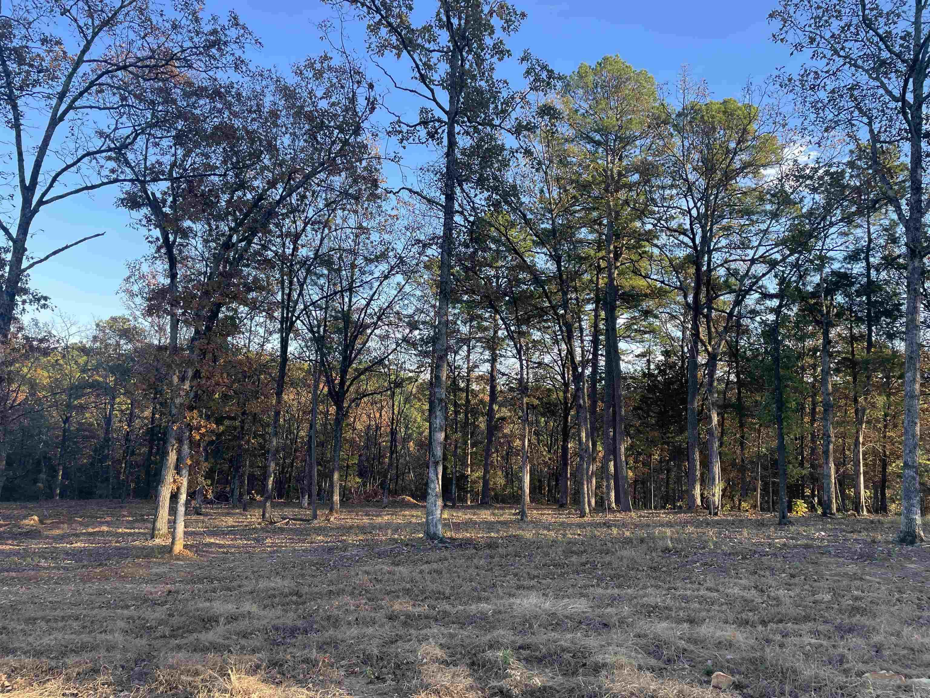 Lot 14 Orchard Hill Ph 3