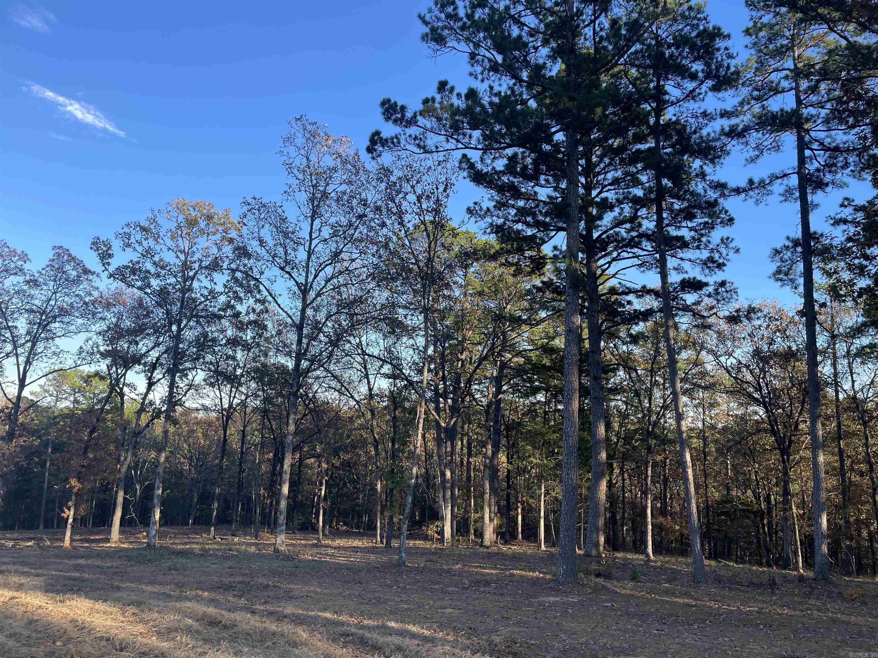 Lot 14 Orchard Hill Ph 3