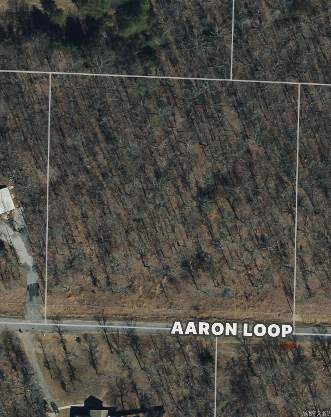 0 Aaron Loop