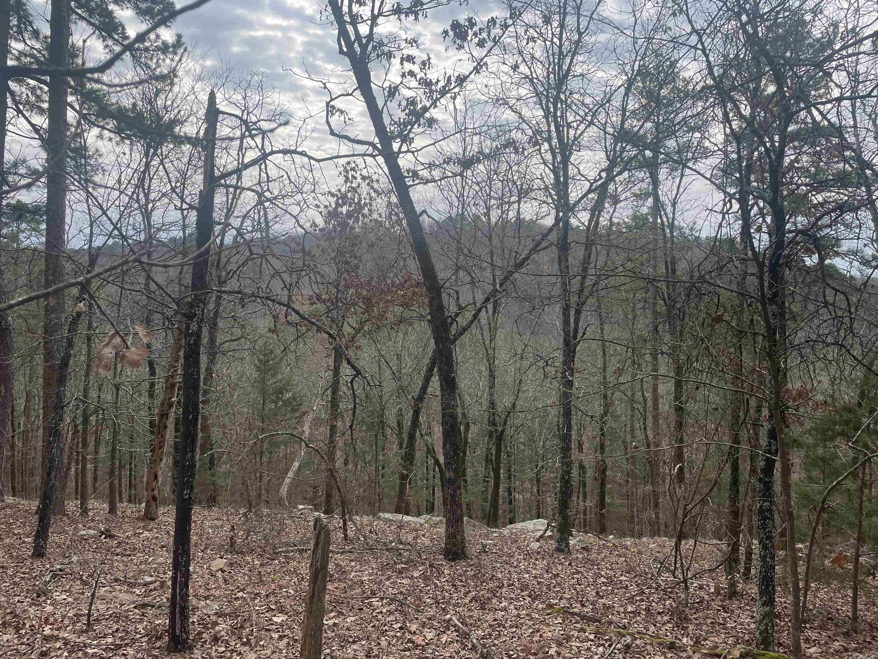 3970 Orchard Heights Drive