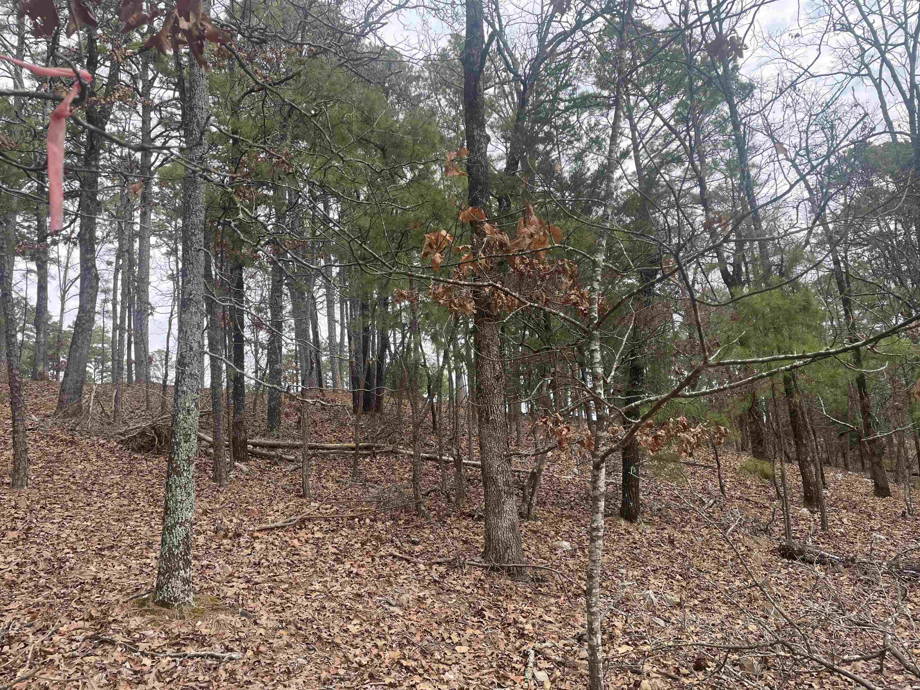 3970 Orchard Heights Drive