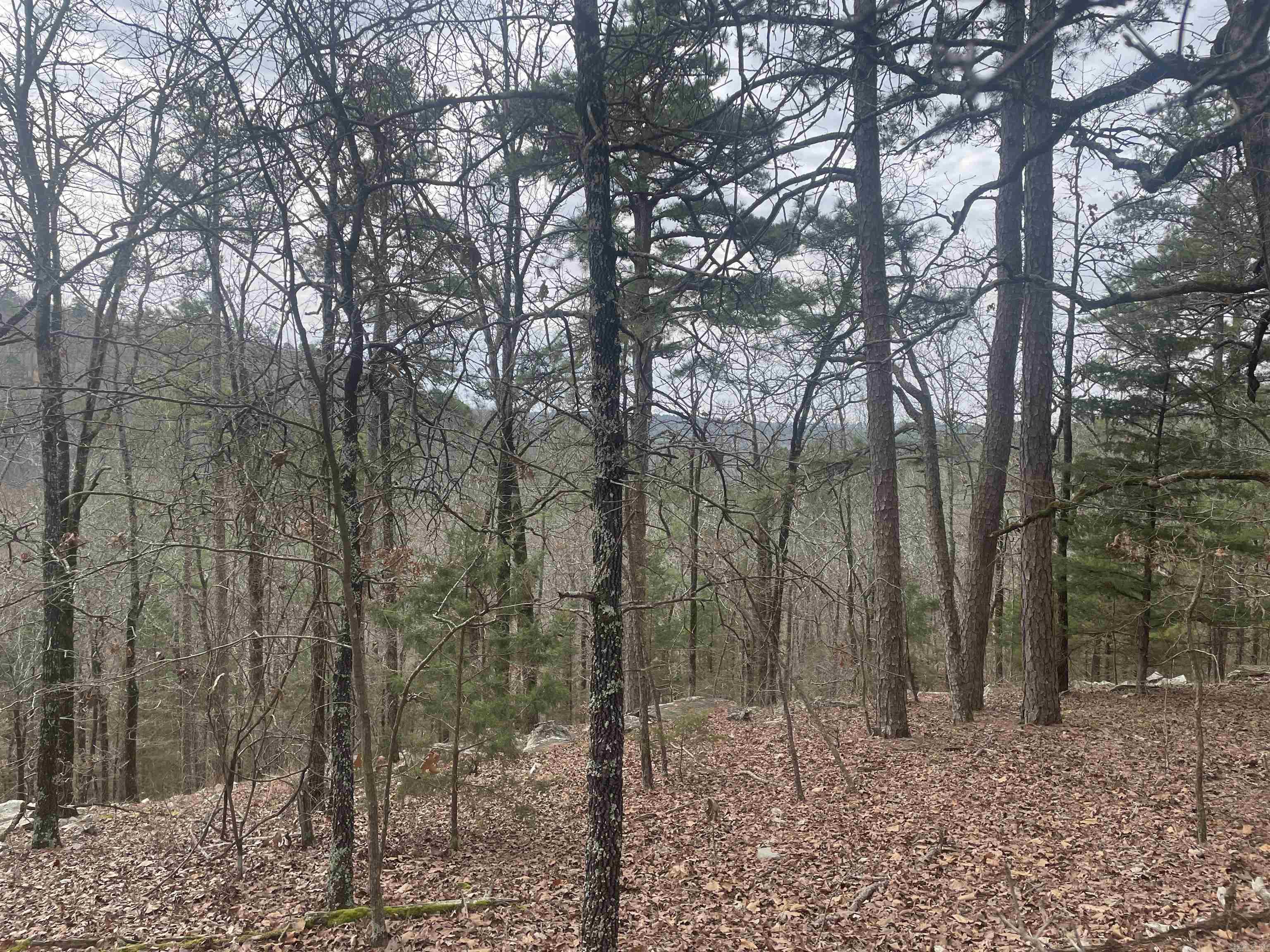 3970 Orchard Heights Drive