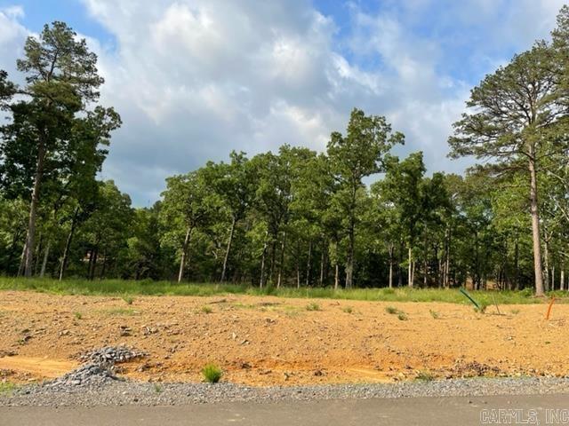 Lot 5 Orchard Hill Ph 4