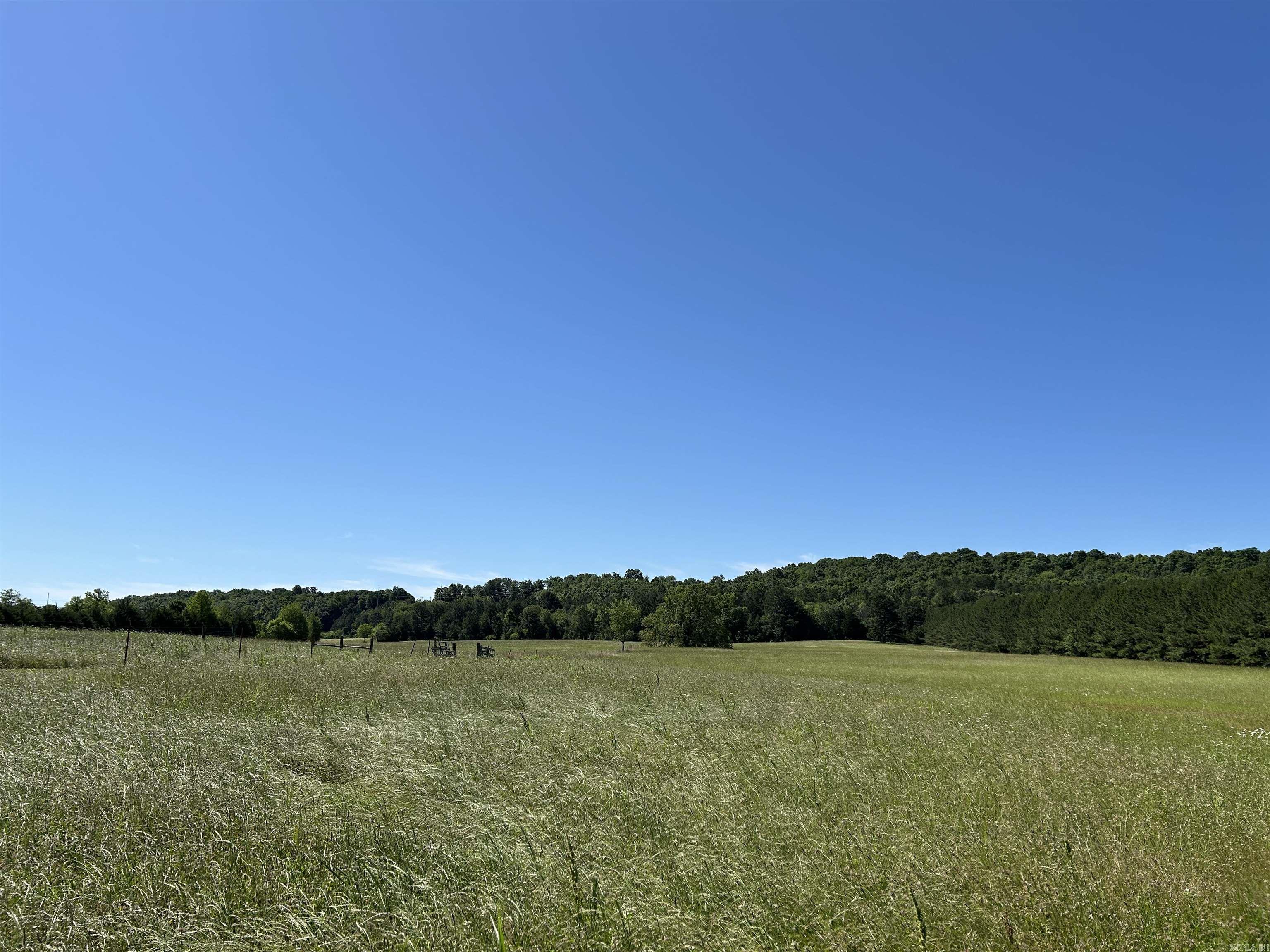 272 Hwy 31