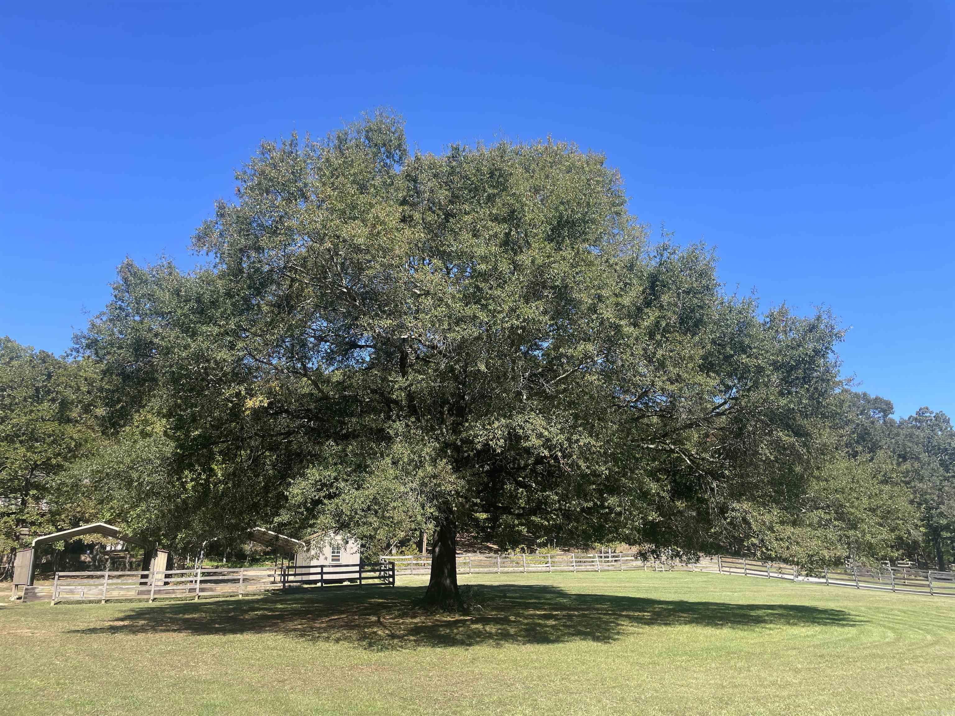 40 Woodruff Lane