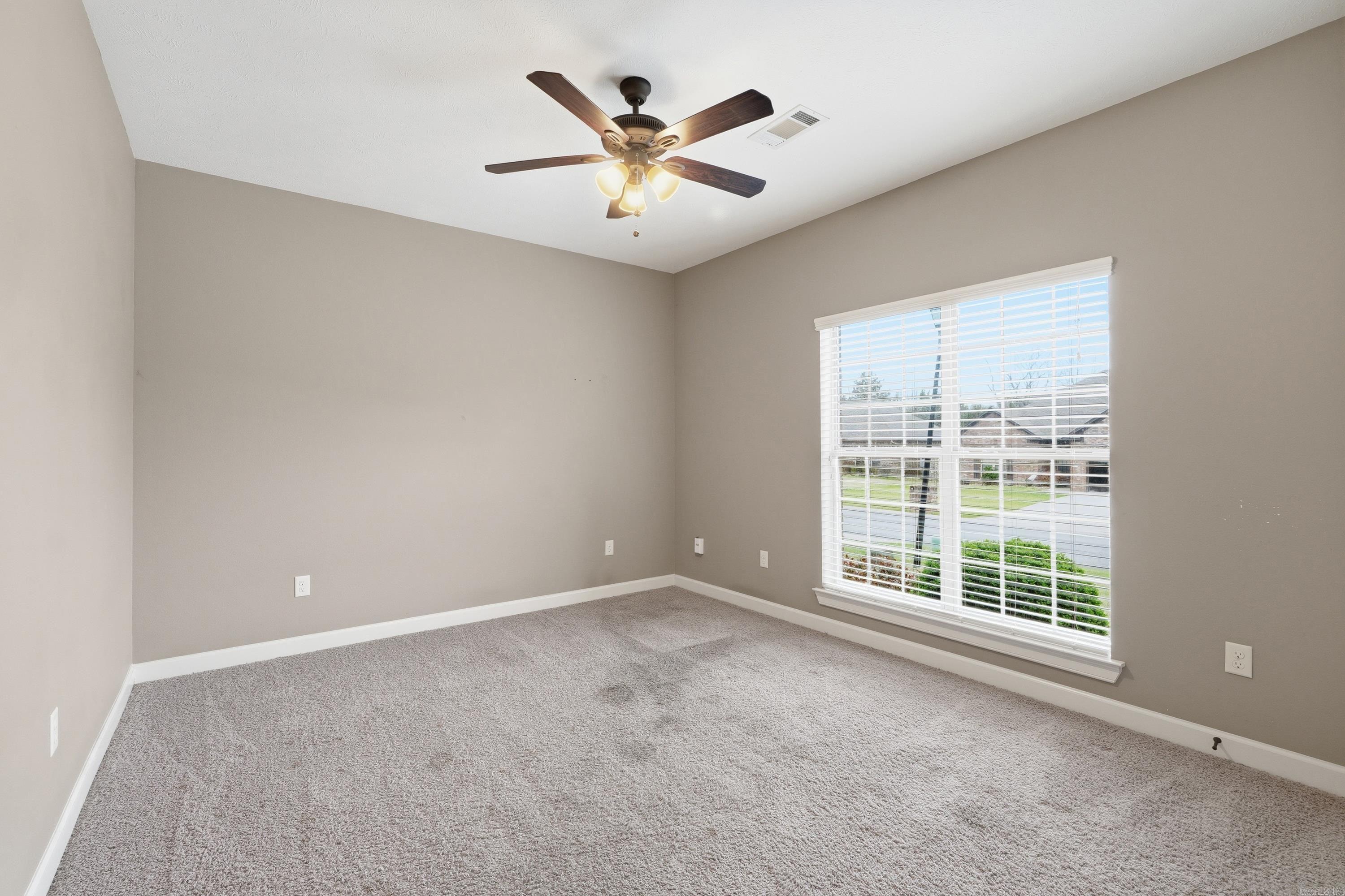 26 Oak Tree