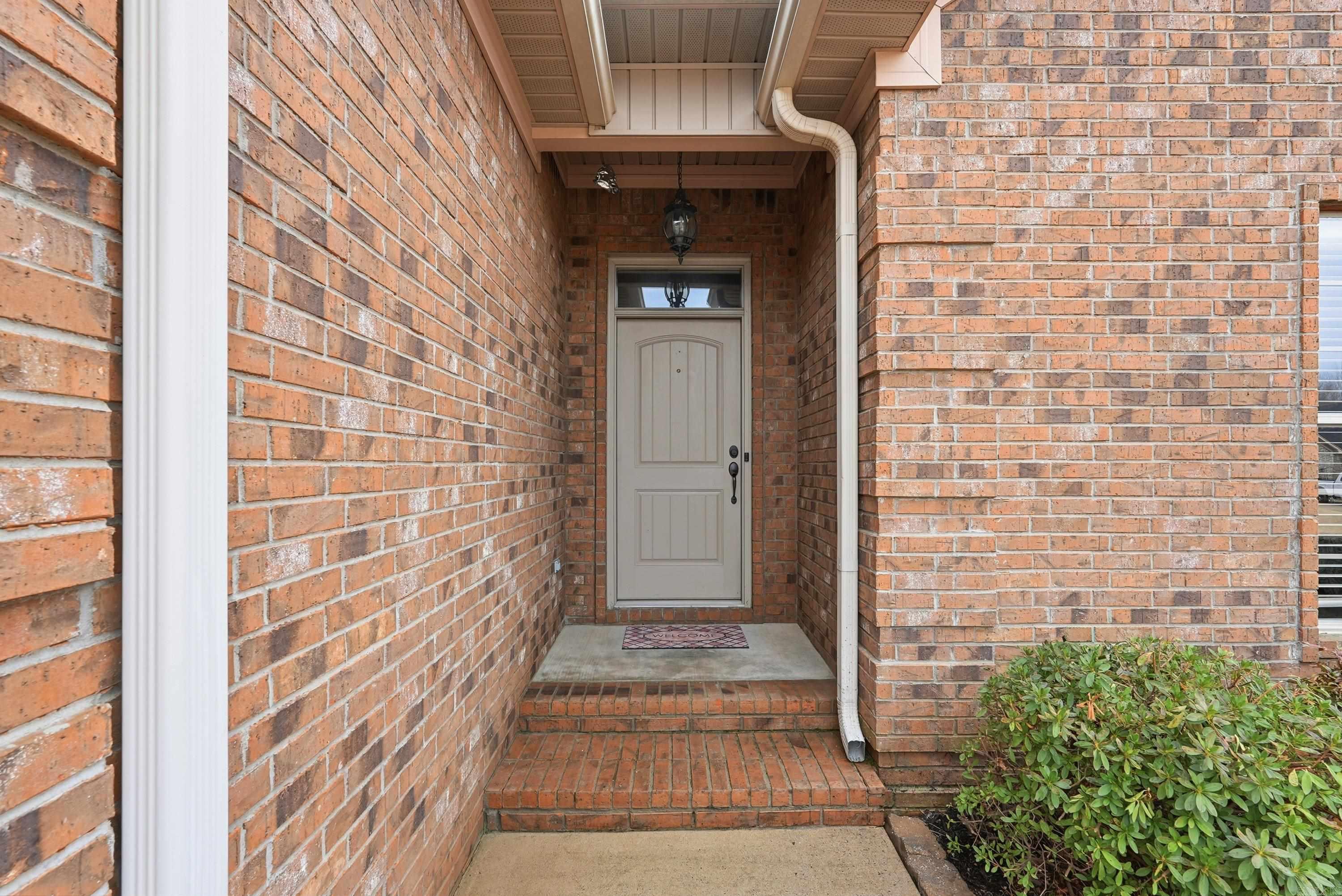 26 Oak Tree