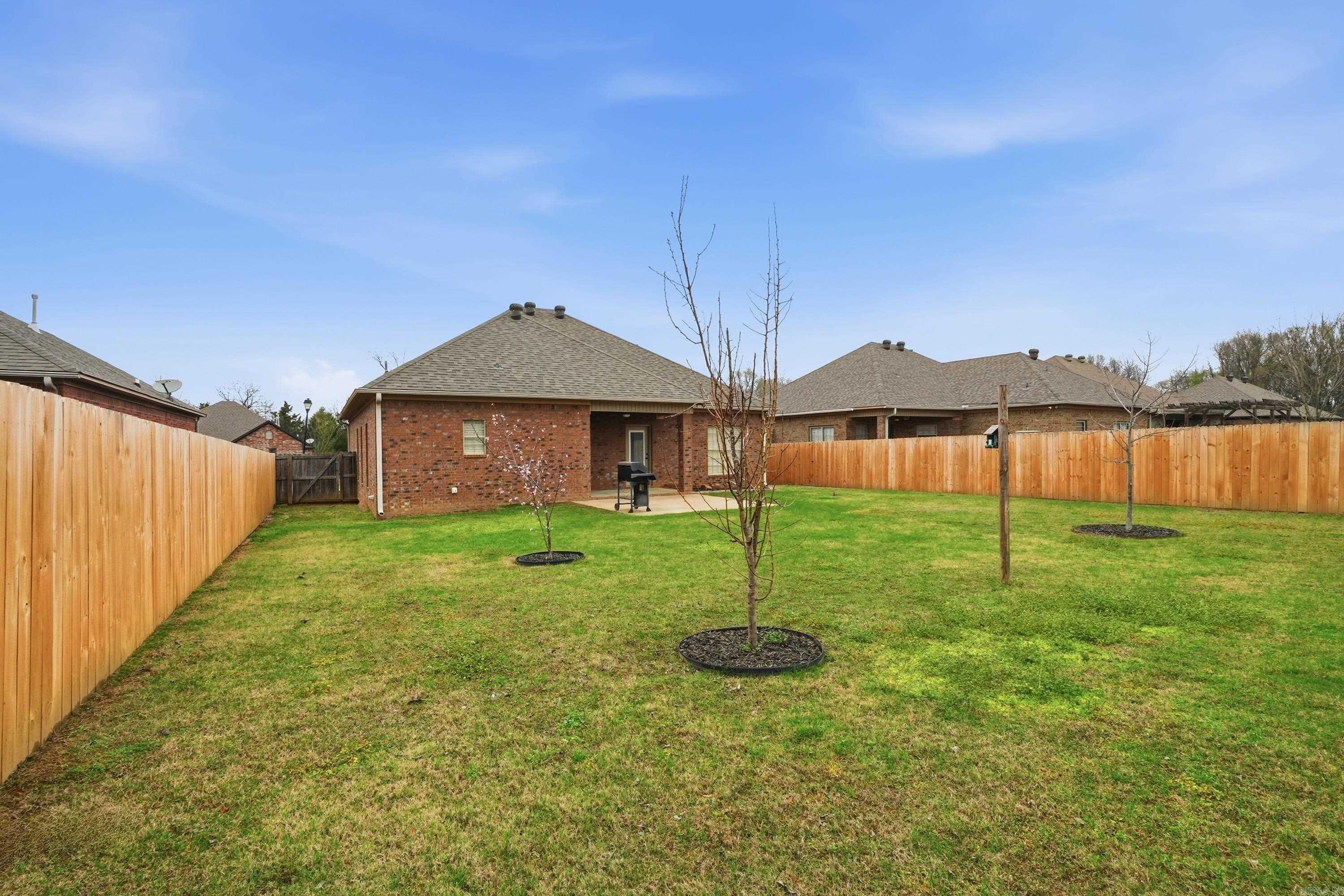 26 Oak Tree