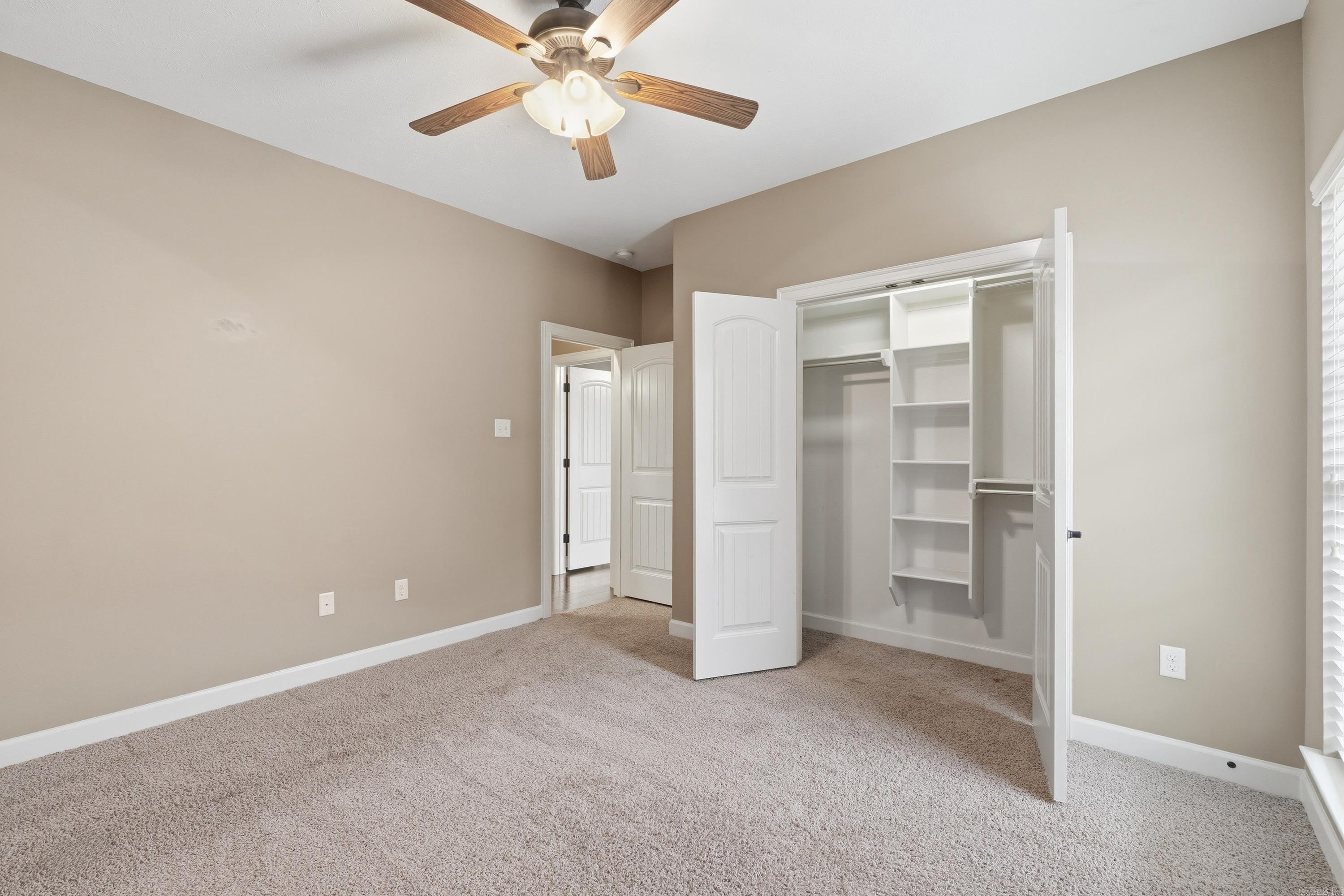 26 Oak Tree