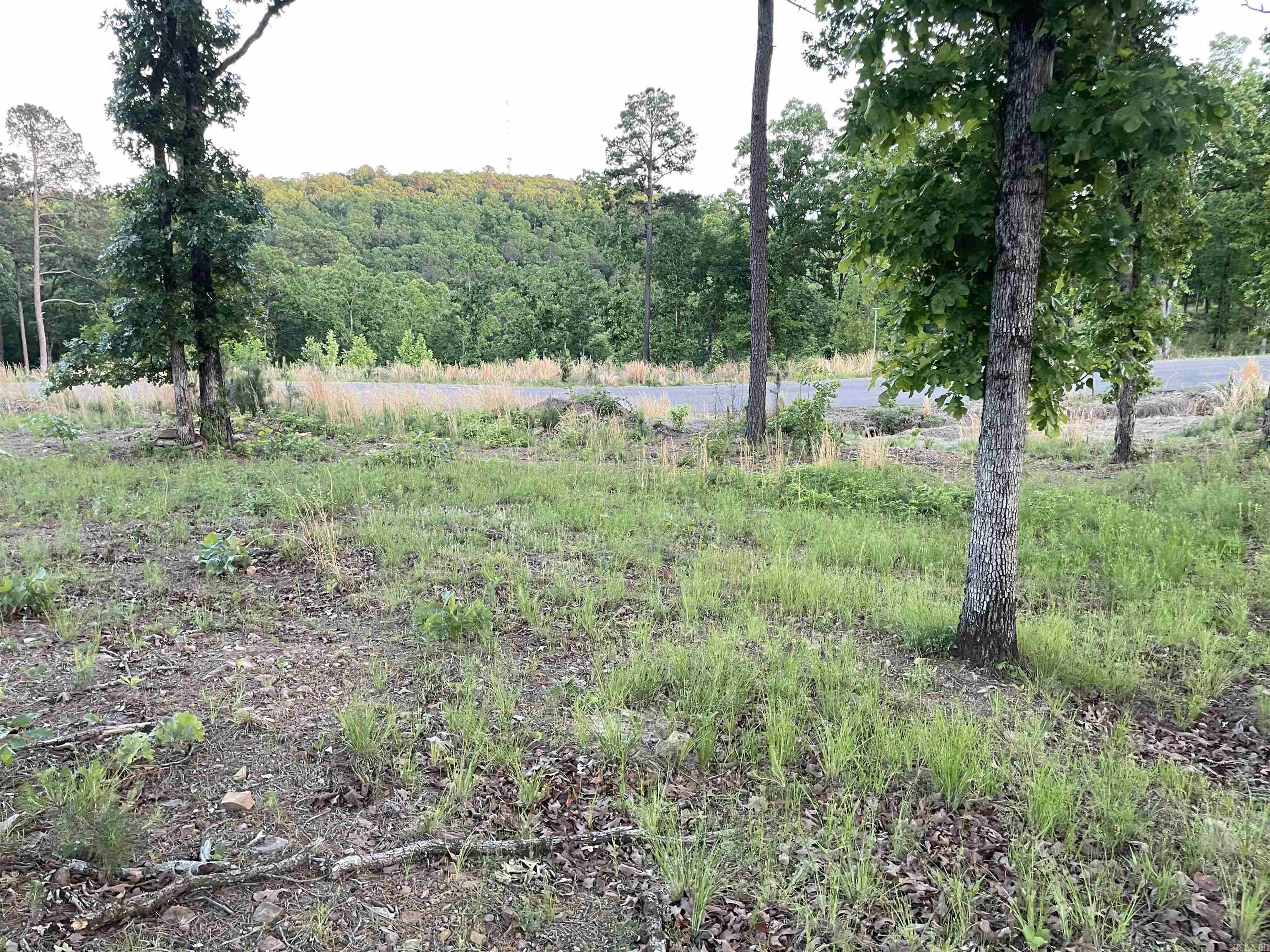 3000 Orchard Crest Drive