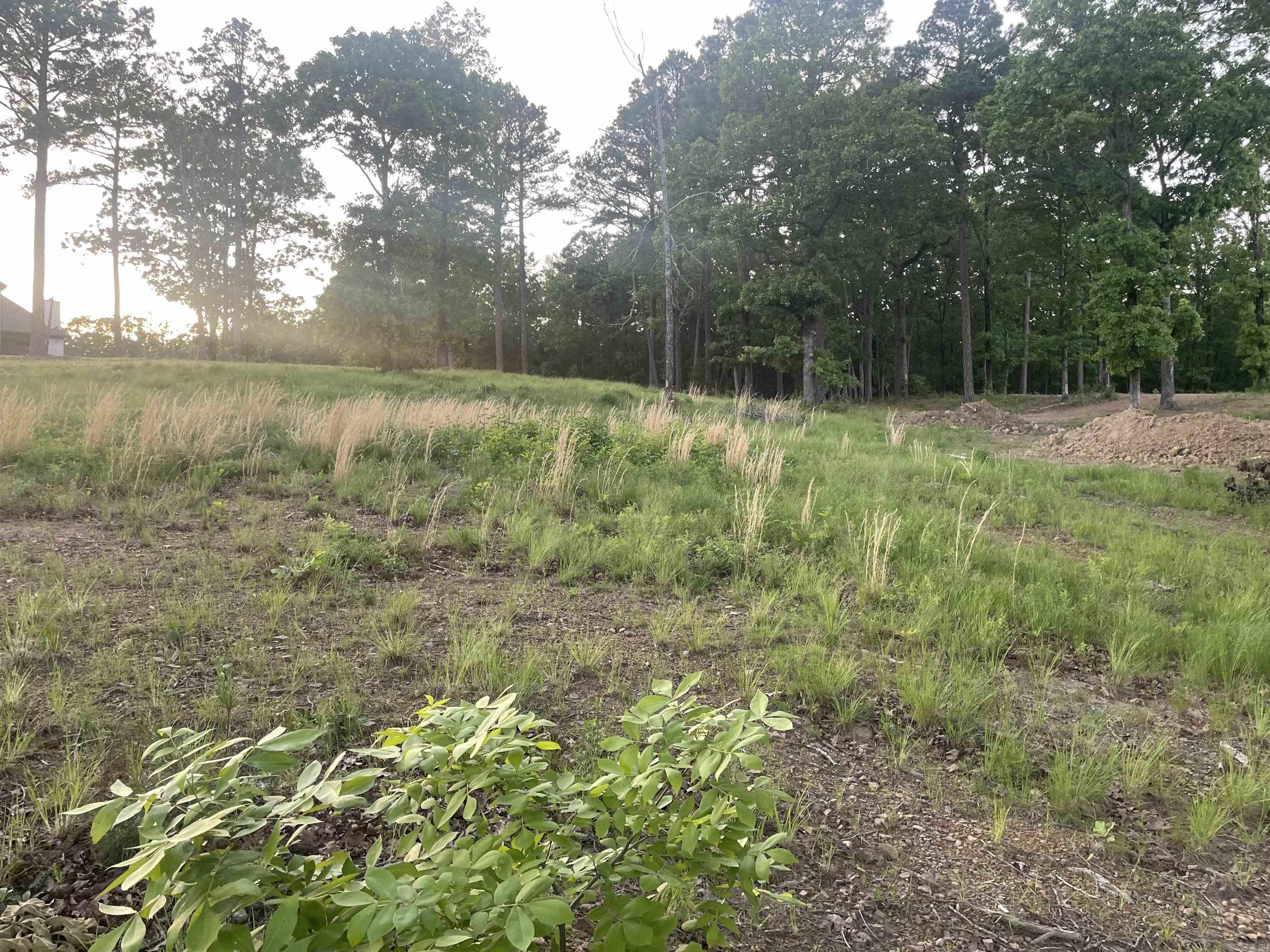 3000 Orchard Crest Drive