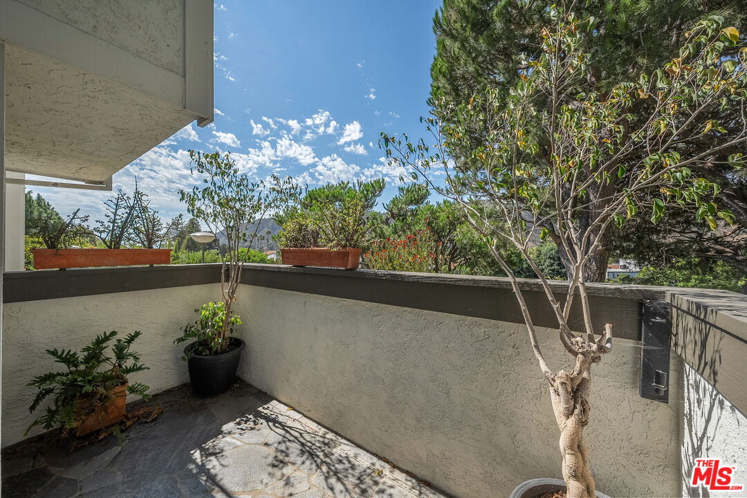 17099 Palisades Cir