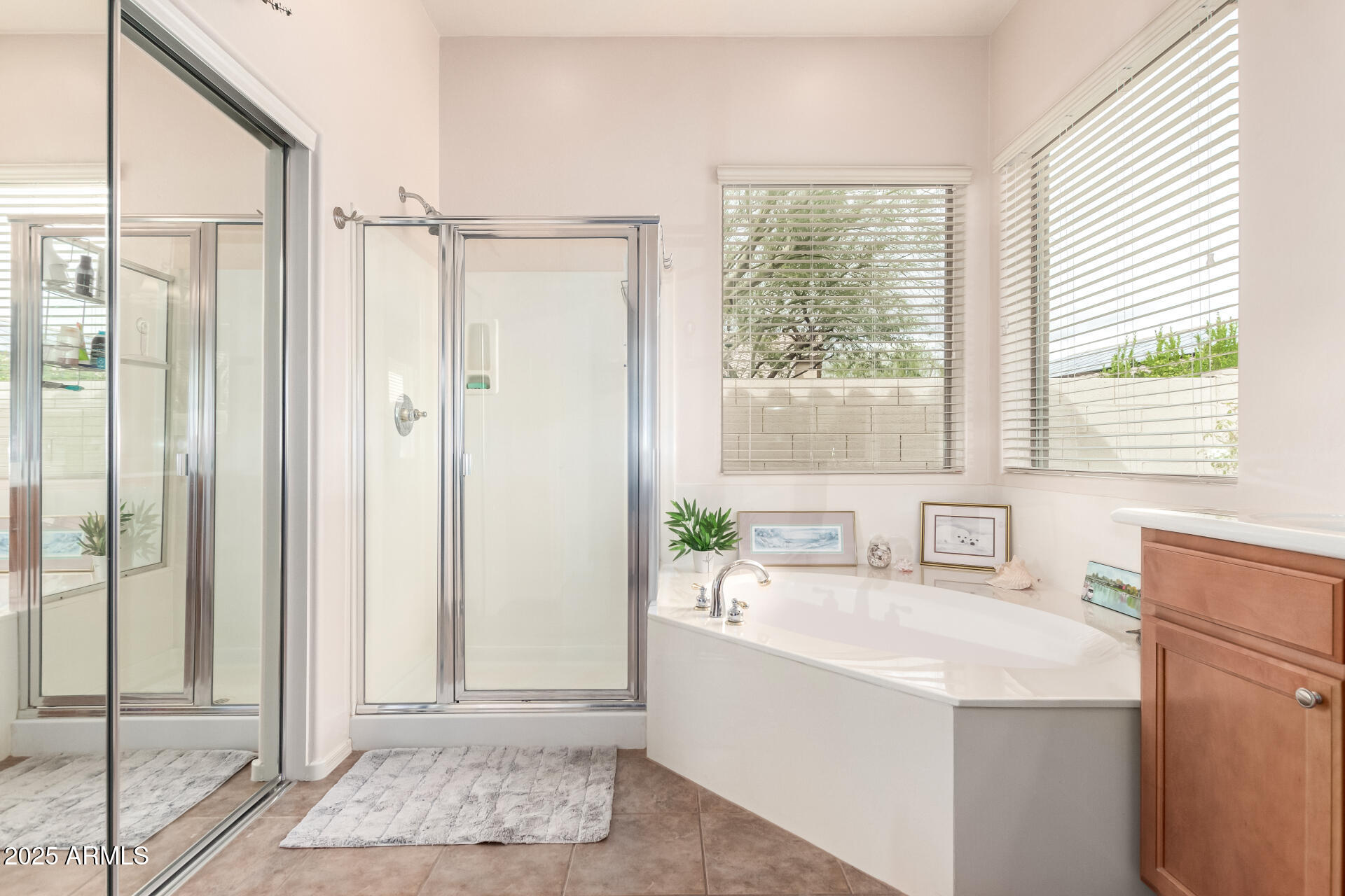2212 W CALLE DE LAS ESTRELLA Street