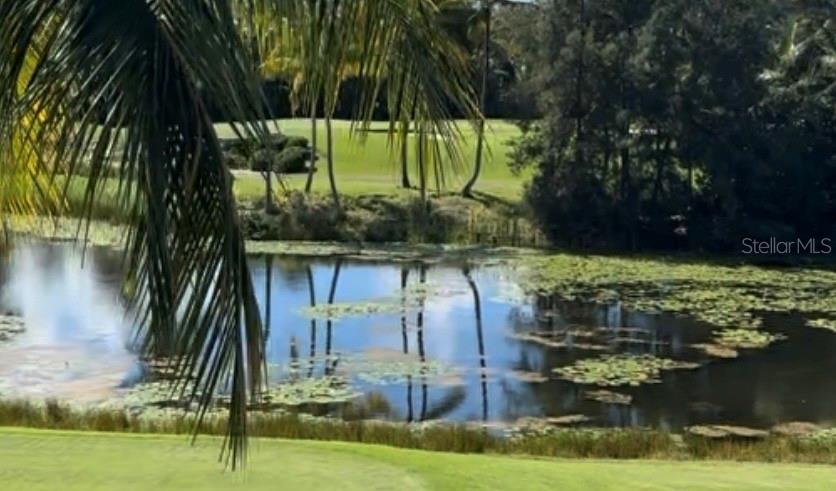 Building 8 LAS VERANDAS BAHIA BEACH #8371