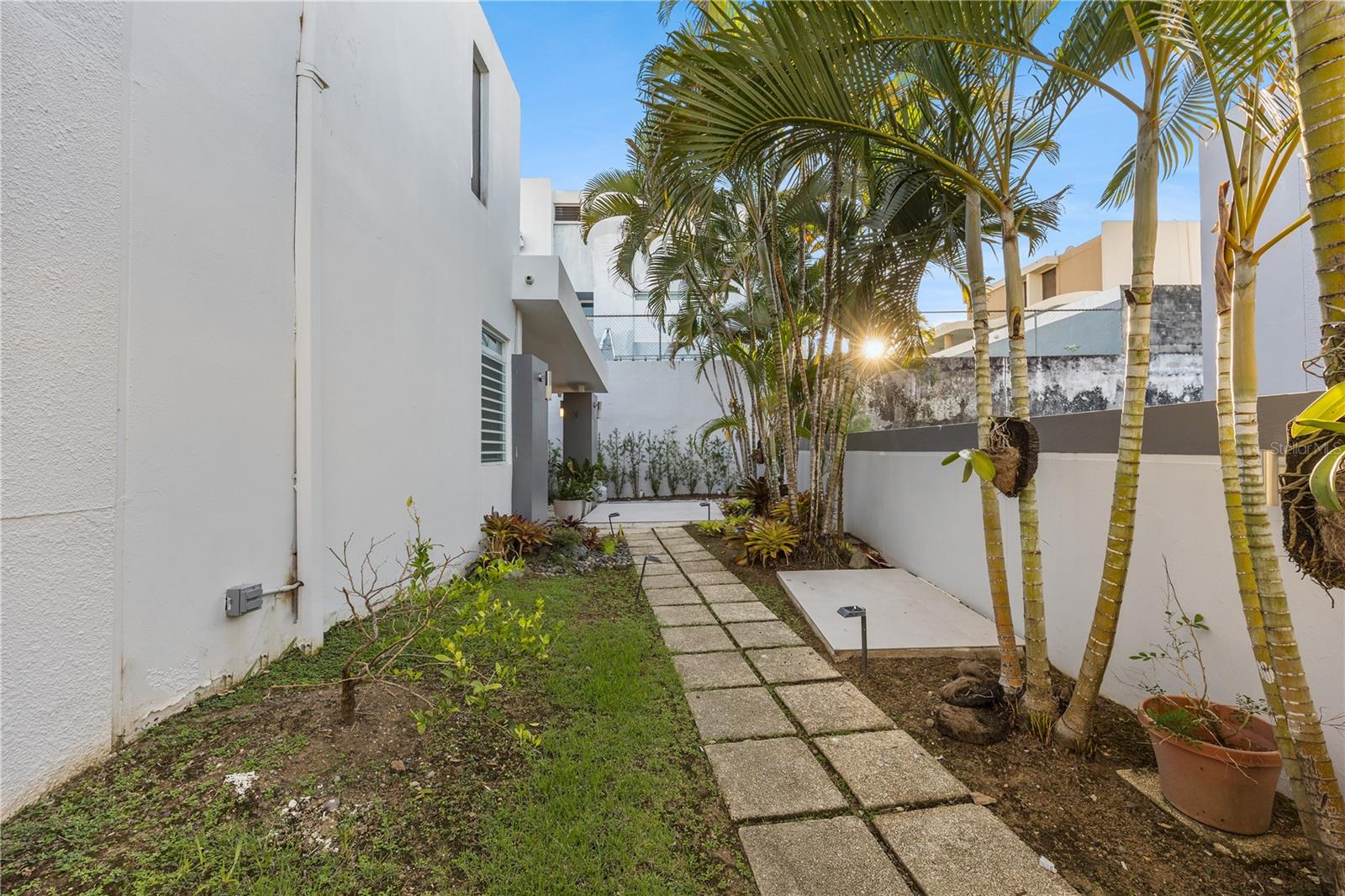 Landscaped courtyard beside a white home, with a stone walkway and tropical palms.