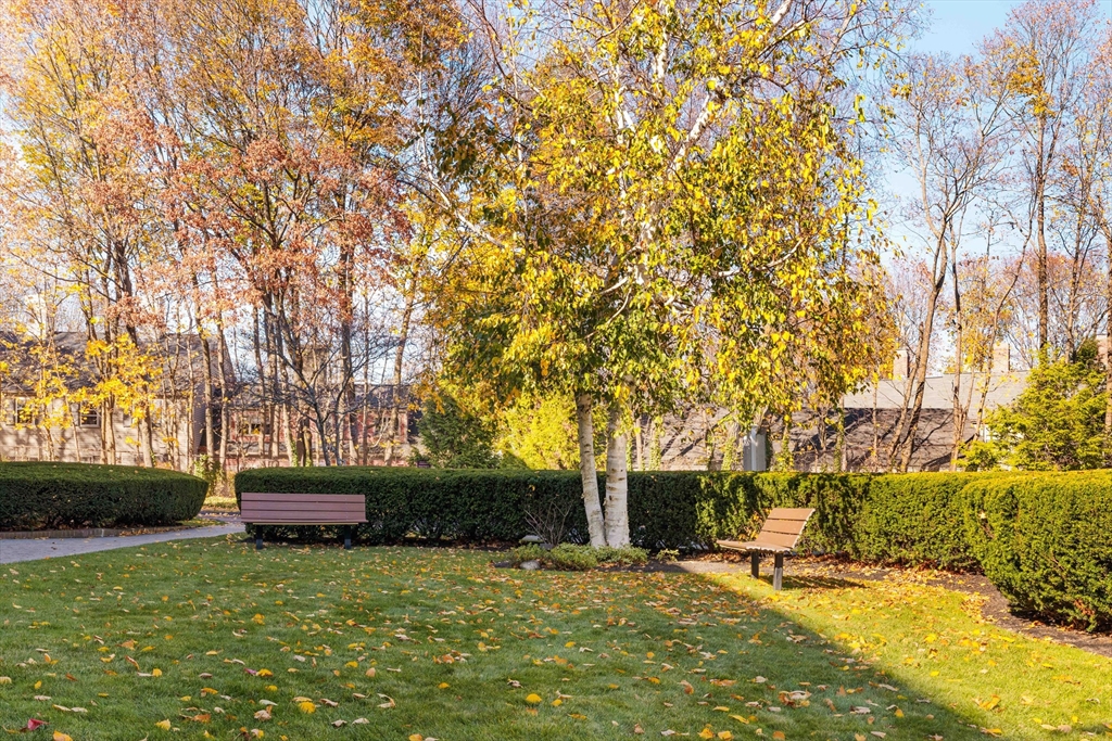 1475 Massachusetts Ave. # 352