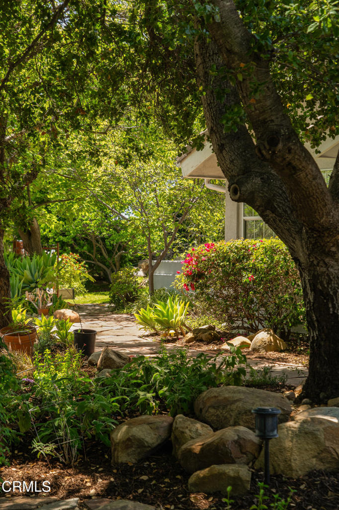 12841 Tree Ranch Road