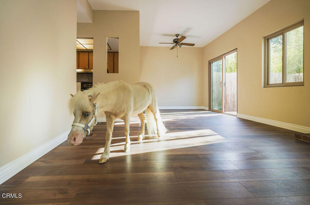 2321 Pima Lane
