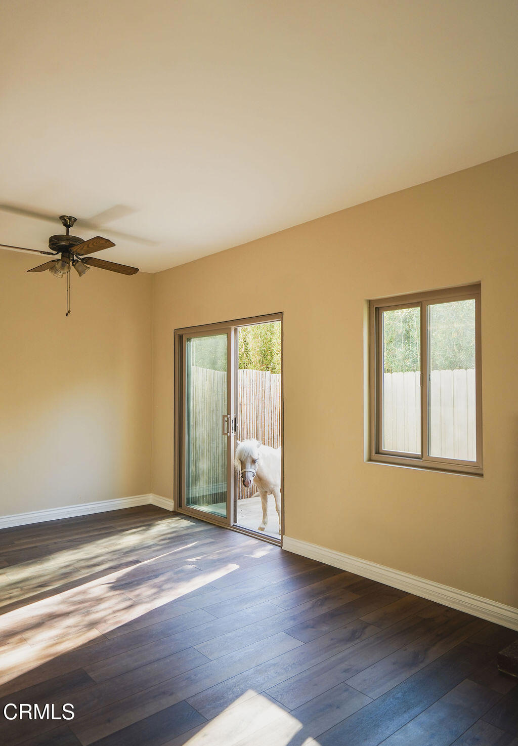 2321 Pima Lane