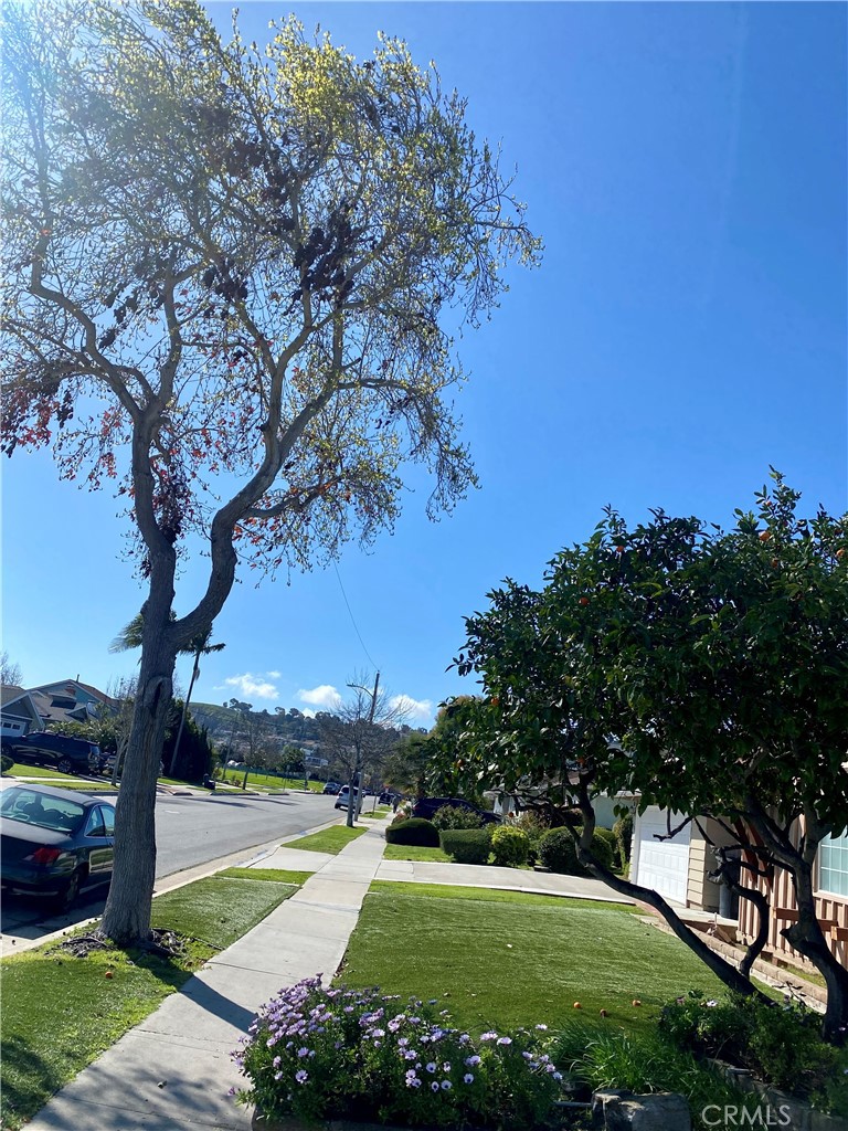 23511 Ladeene Avenue