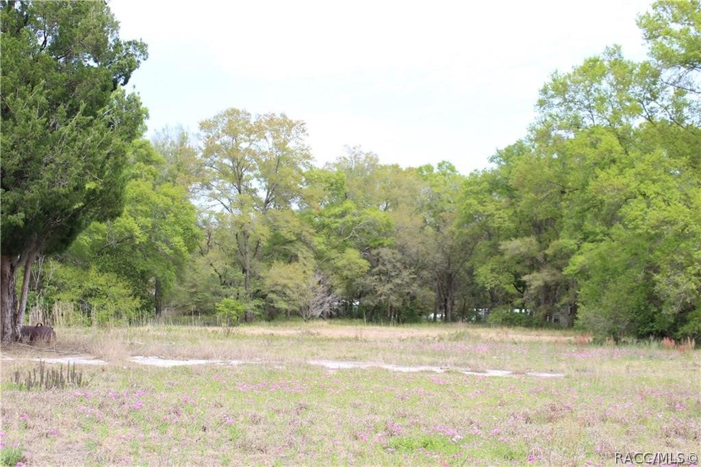 8055 N Citrus Avenue